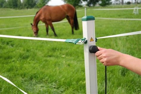 electric enclosure for horses camping|portable horse fence panels.